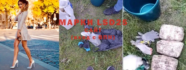 крисы Коряжма